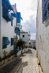 calles azules de Sidi Bou Tunez