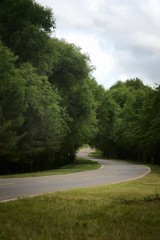 Winding asphalt road in a wooded area in San Luis, Argentina.