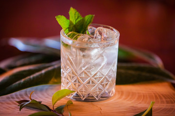 Cocktail, alcohol!!!