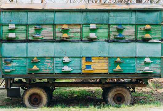 Hives with bees in a mobile apiary. Сolored beehives in the apiary. - Powered by Adobe