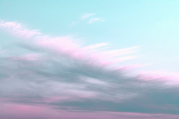 Blue sky with white and pink clouds that form a feather pattern. Concept landscape, abstraction.
