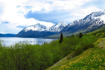 Naklejka na ściany i meble Alaskan Mountains 