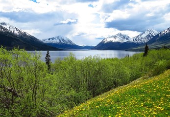Spring in Alaska