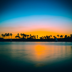 sunset sun trees beach sea ocean water sky sunrise summer tropical florida yellow dusk river lake orange landscape © Alberto GV PHOTOGRAP
