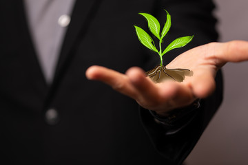 Minimal nature concept.Think Green.Ecology Concept. Environmentally friendly planet.