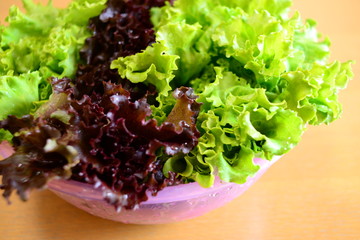 ボウルに入れたサニーレタス