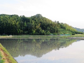 日本の田舎の風景　6月　田植え頃の水の夕景