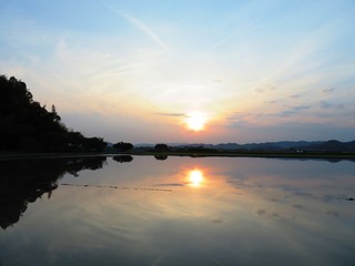 日本の田舎の風景　6月　田植え頃の水の夕景