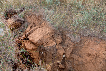 ecological disaster landslide of clay soil fissure after an earthquake, a close up of earth cracks with dry grass.