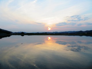 日本の田舎の風景　6月　田植え頃の水の夕景