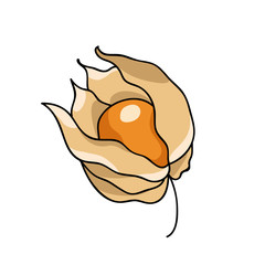 physalis doodle icon