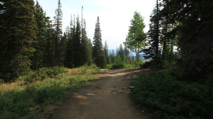 Up in the Utah mountains