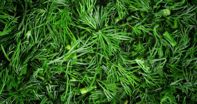 Chopped fresh dill rotates slowly.