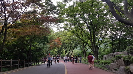 road, park, tree, trees, nature, green, path, street, landscape, way, grass, spring, forest, sky, country, leaves, autumn, summer, rural, footpath, avenue, asphalt, people, walk, alley