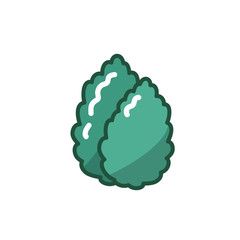 stevia vector icon