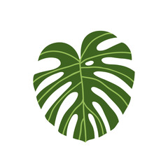 monstera leaf doodle icon