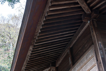 Fototapeta premium 大磯 高来神社（高麗神社）