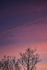 Moon in the purple sky