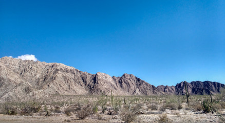 Fototapeta na wymiar Desert mountain landscape with cactus in a sunny day