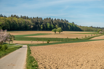Ackerbau im Fr&uuml;hjahr