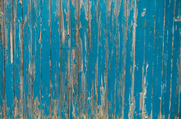 Lack blättert ab von altem blauen Holztor © focus finder
