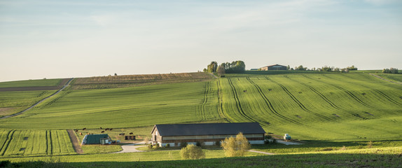 Landwirtschaftliche Gebäude außerhalb im Feld