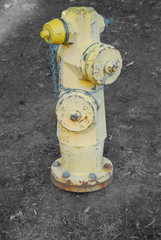 yellow fire hydrant