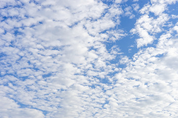 Fototapeta premium Cloudscape with altocumulus clouds, Altocumulus middle-altitude cloud in stratocumuliform - natural background