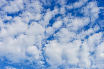 Cloudscape with altocumulus clouds, Altocumulus middle-altitude cloud in stratocumuliform - natural background