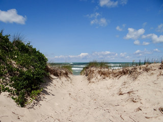 Path to the beach through sand banks.