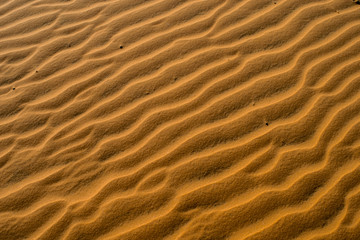ripples in the sand