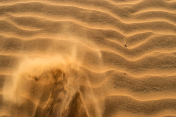 sand ripples in the desert