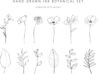 Collection of ink hand-drawn leaves and flowers. Botanical set of 12 vector elements. logo, icon, greeting card, invitations, gift