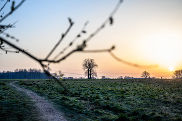 Sonnenuntergang an einem Feld
