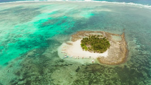 Seascape with beautiful beach and tropical island palm trees by coral reef from above. Guyam island, Philippines, Siargao. Summer and travel vacation concept