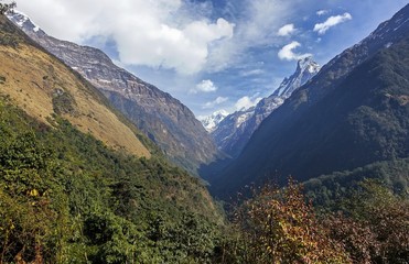 Fototapeta premium Hillside Terraces and Scenic Mountain Peaks Landscape on Hiking Trek to Annapurna Base Camp or Sanctuary in Nepal Himalayas