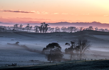 A beautiful pastel colored wintervsunrise over hills and fiels in rural New Zealand. 