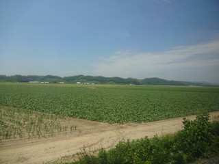 The view of Hokkaido, Japan