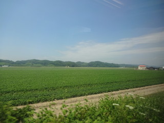 Fototapeta na wymiar The view of Hokkaido, Japan