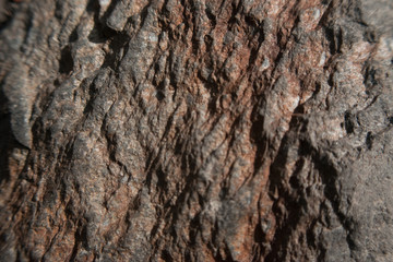 texture rock