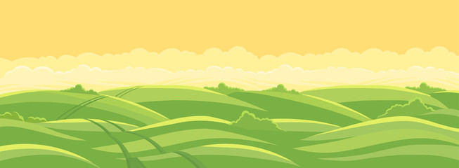 Green field landscape. Field track road. Spring grass. Agricultural farming acreage. Vector background.