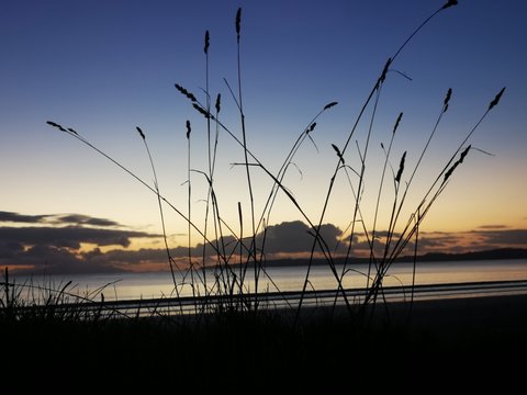 Orewa Morning