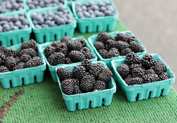 market blackberries