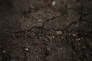 cracked earth