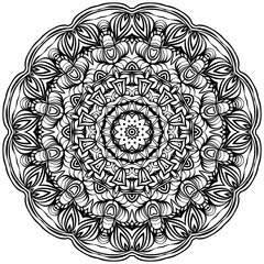 Fototapeta premium LL2020-0102