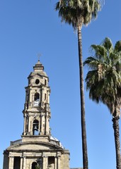 Fototapeta na wymiar The church of San Jose de Gracia in Guadalajara, with a pair of nearby palm trees.