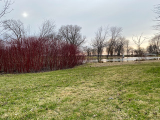 Fototapeta premium city park red trees lake