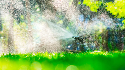 Closeup low angle view of automatic lawn sprinkler watering in the garden using as agricultural and...