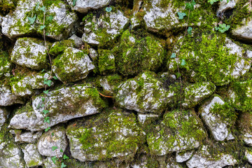 Wall of arranged rocks covered by moss.