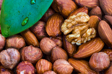 Almonds, walnuts and hazelnuts. Without shell. Cipherler leaf